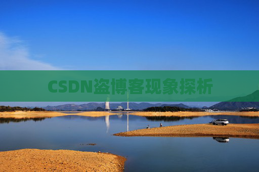 CSDN盗博客现象探析